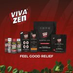 Vivazen - Interactive eLearning - Destacada