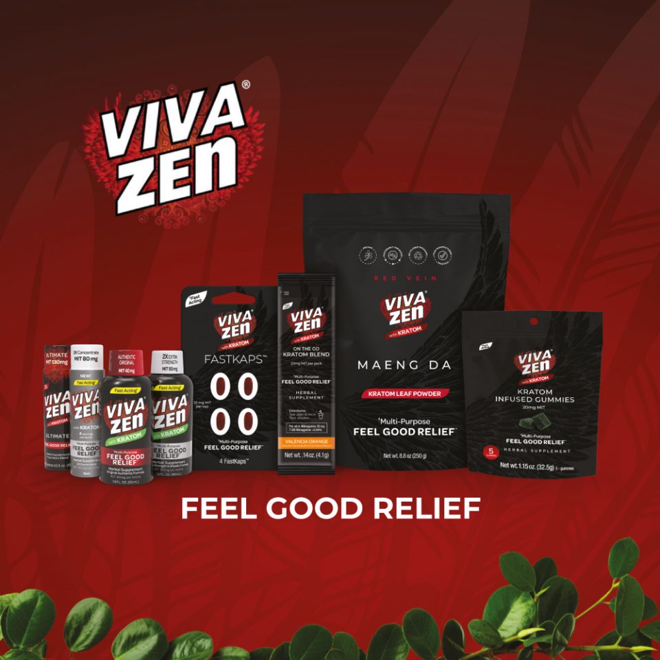 Vivazen - Interactive eLearning - Destacada