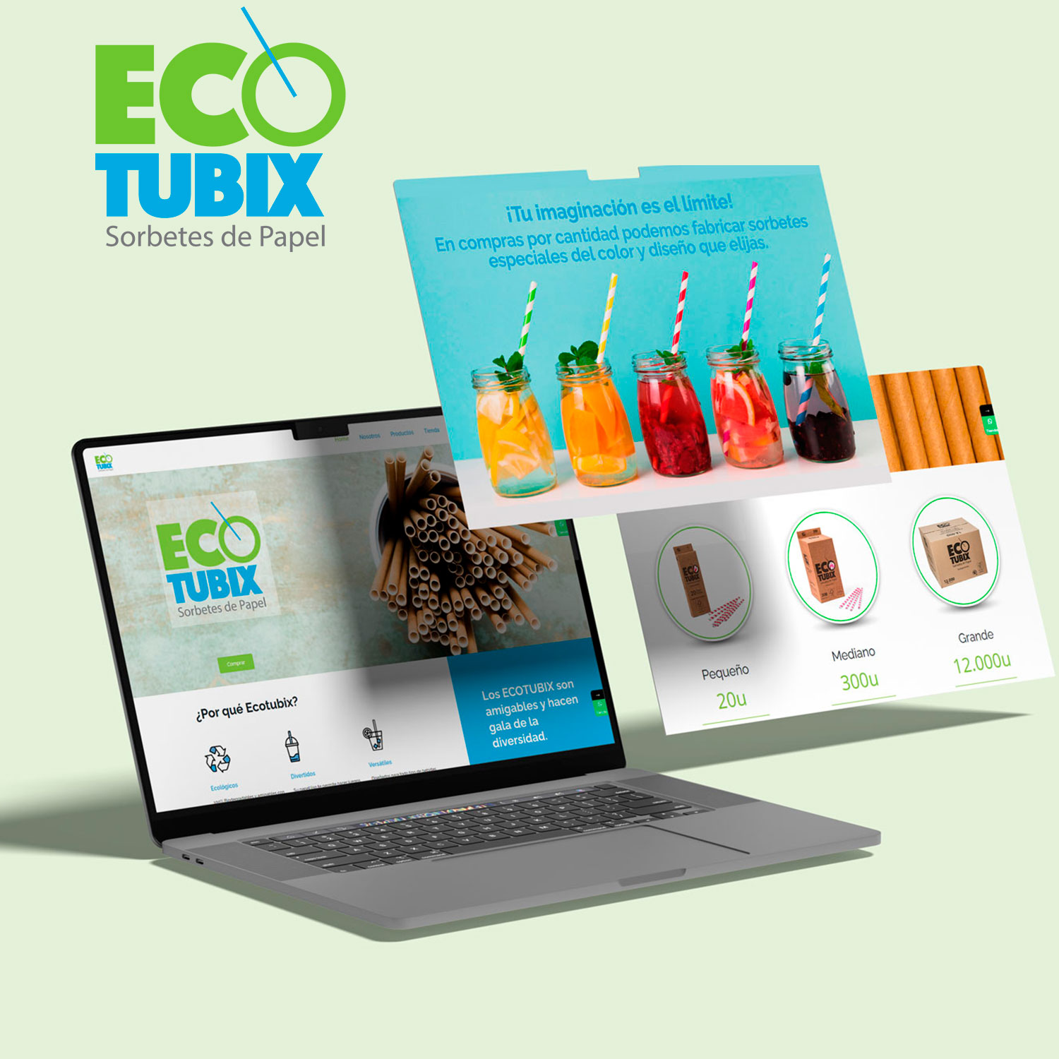 Ecotubix Web