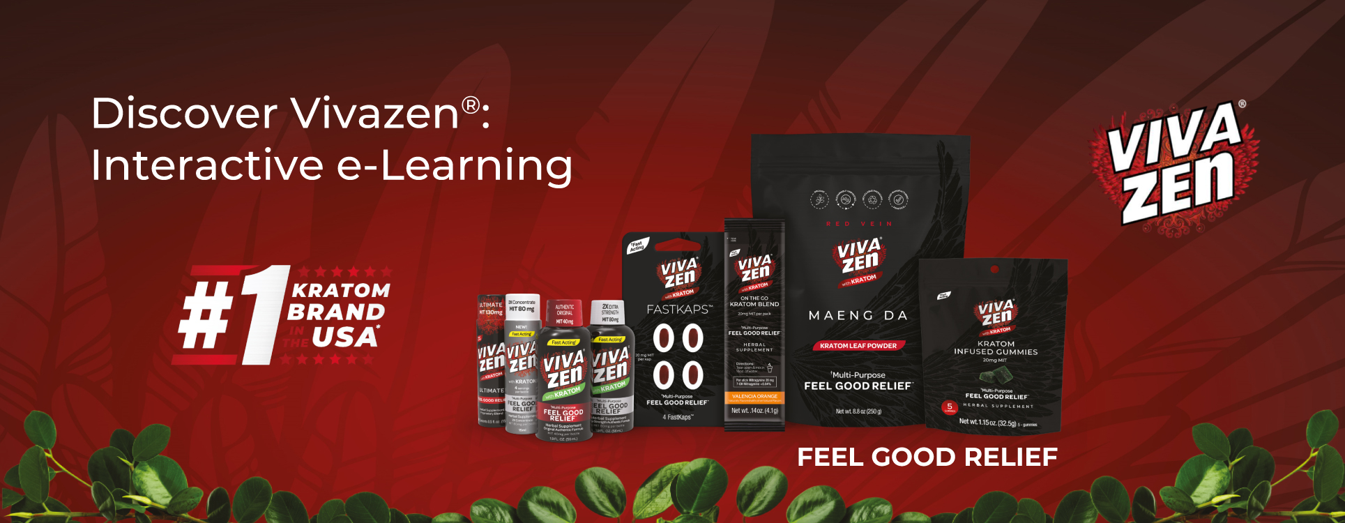 Vivazen - Interactive eLearning - banner 3