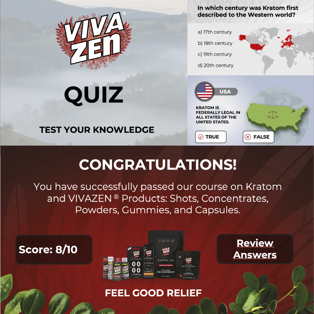 Vivazen - Interactive eLearning - 1