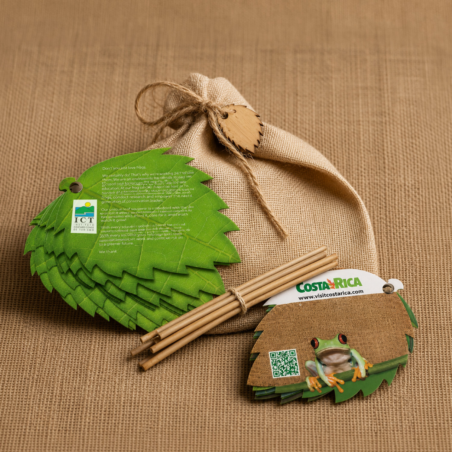 Costa Rica - Flyer hoja